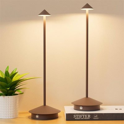 Lampe de table marron en duo sur un livre