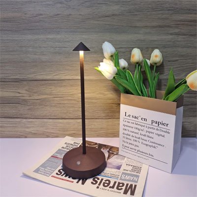 Lampe de table marron poser sur un journal